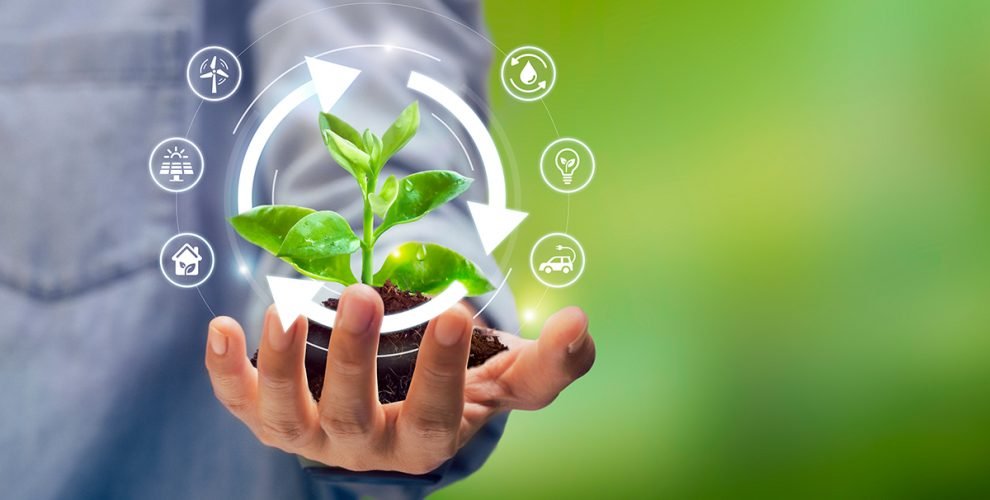 PP Woven bags manufacturer